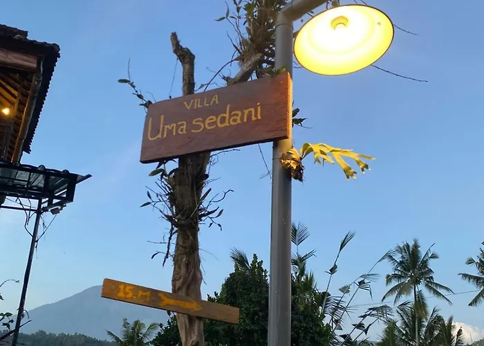 Ume Sedani ホステル サイドメン