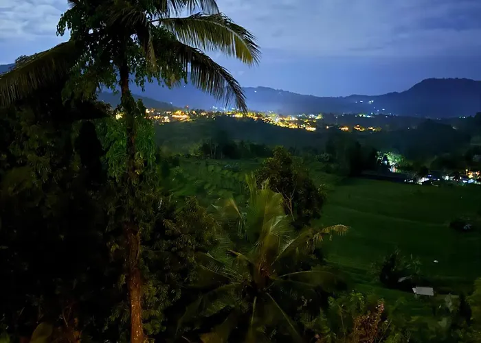Ume Sedani